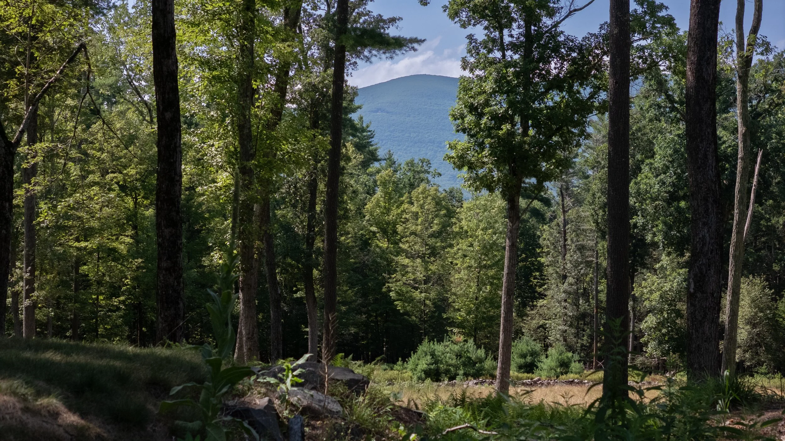 45_45-Haviland-Ct_Saugerties-NY-.jpg