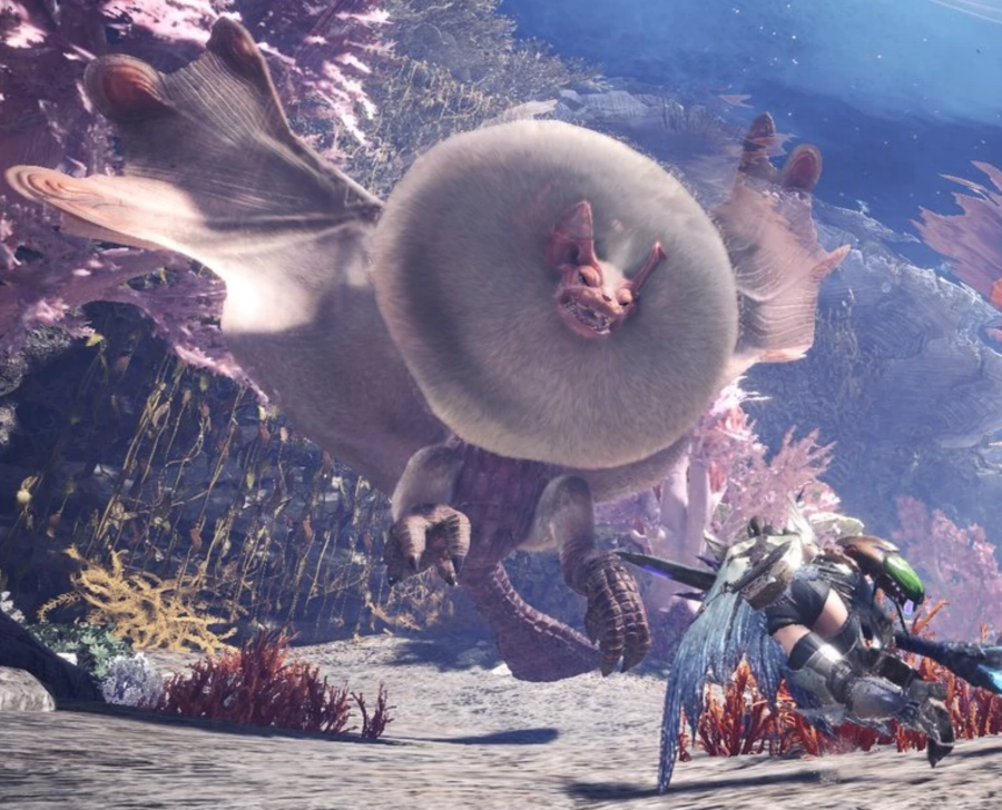A Paolumu taking flight