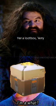 Basically the game.
