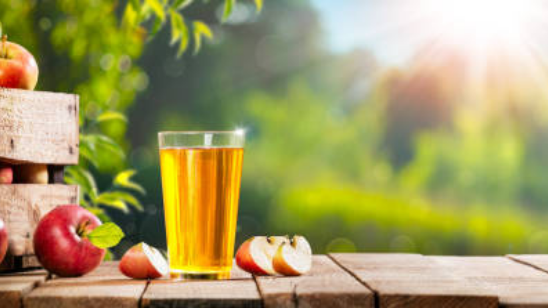 Craft Cider & Mead Tasting Experience