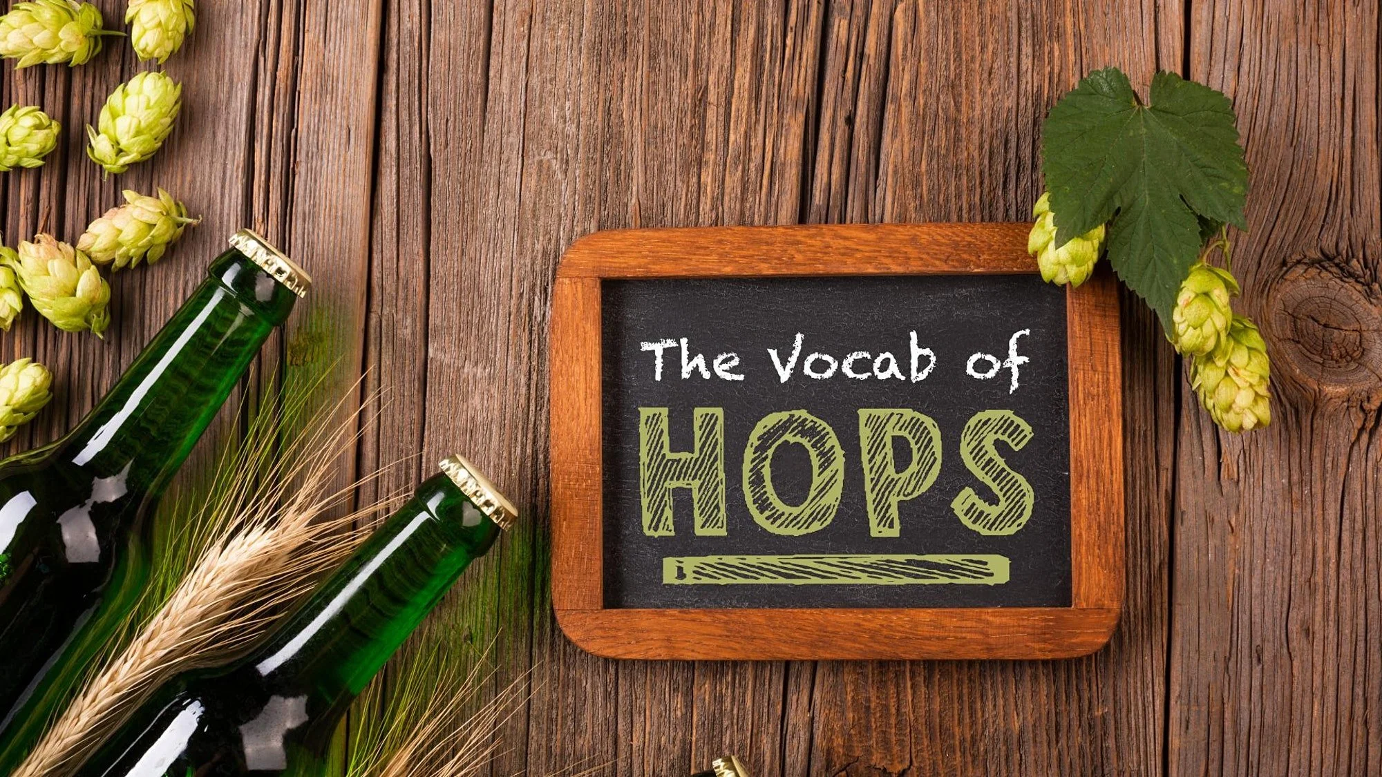 Talk Like a Brewer: The Vocabulary of Hops