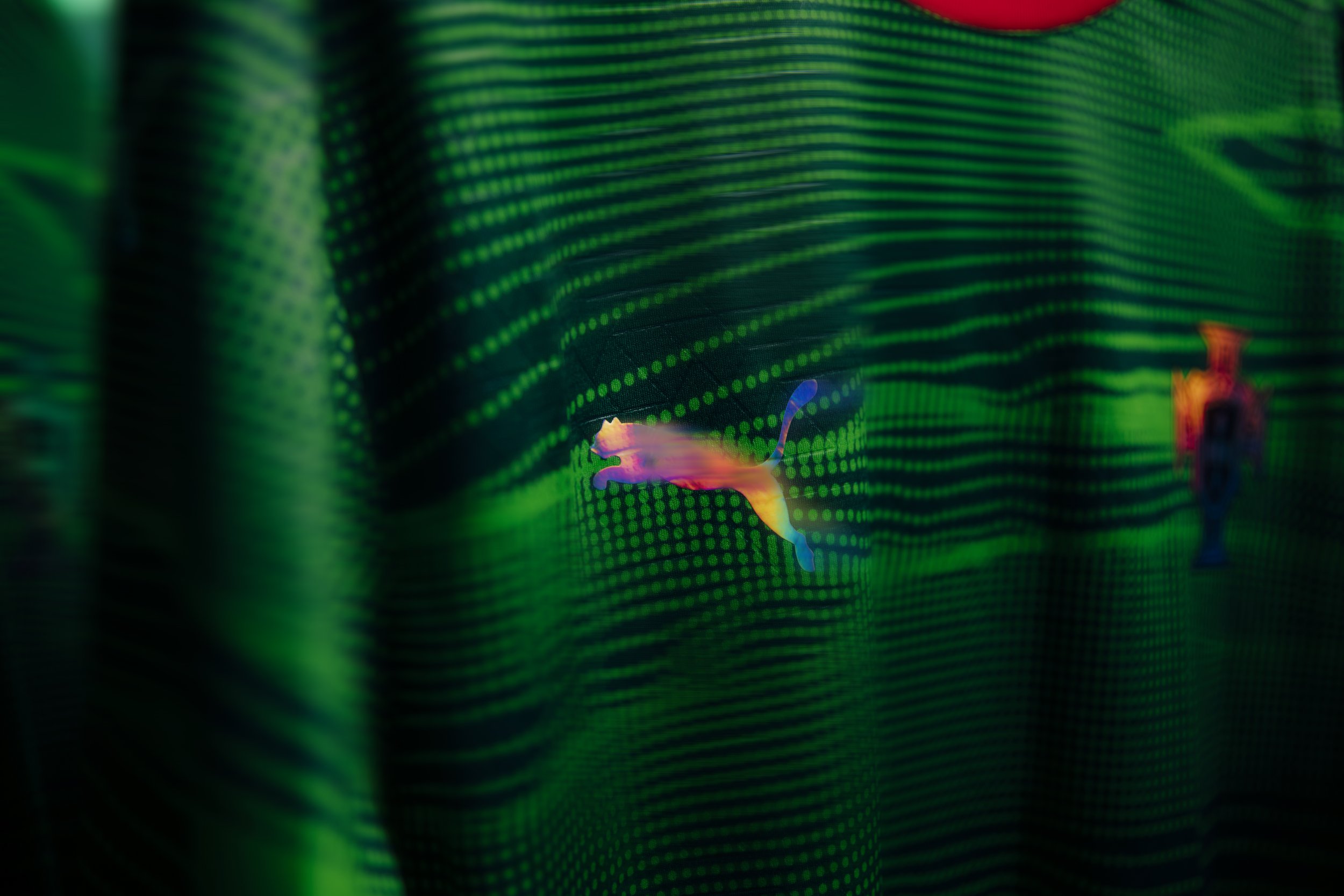 BP1A9764-Enhanced-NR.jpg
