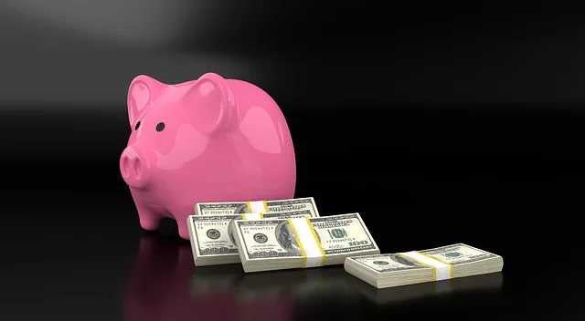 piggy-3612927_640.jpg