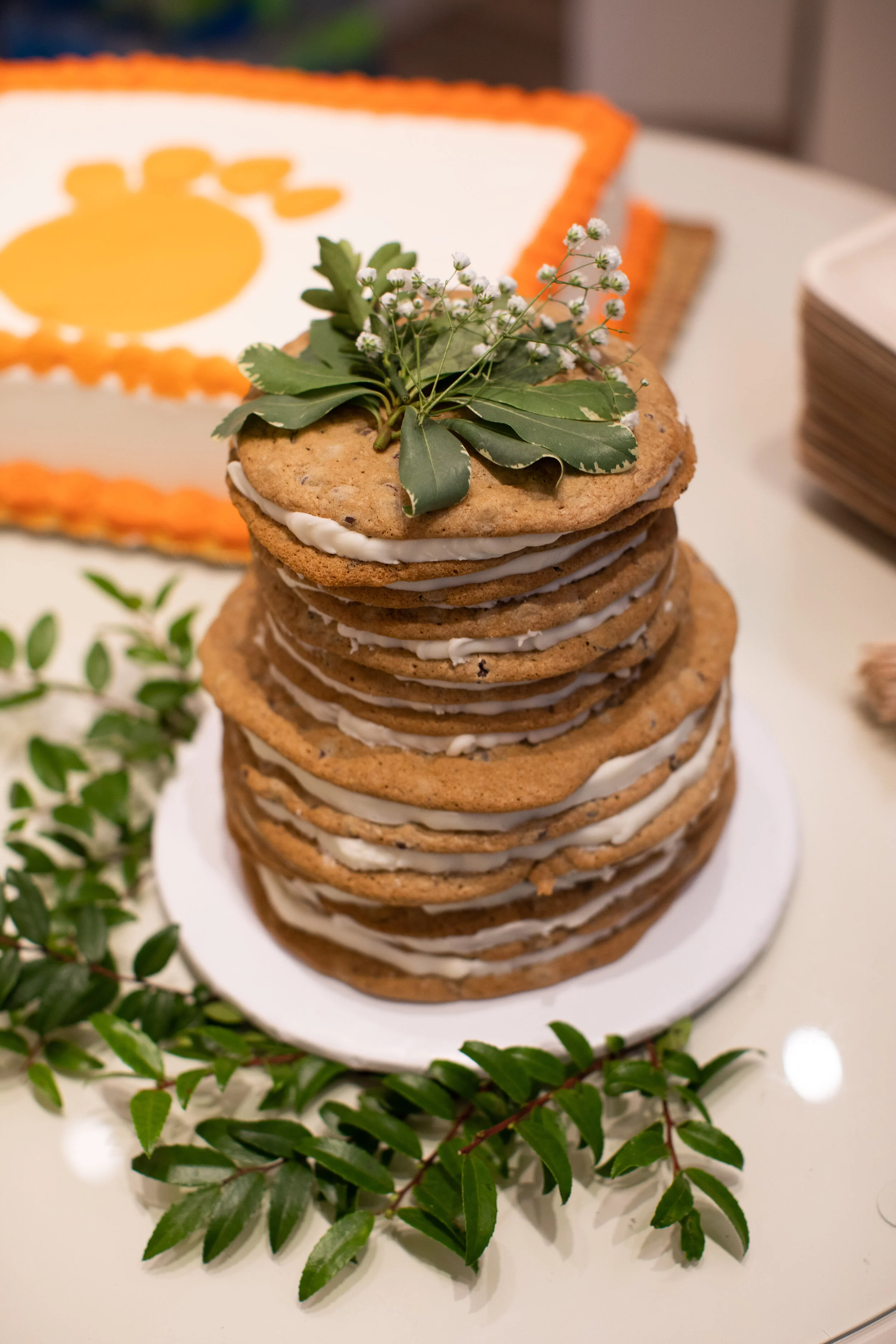 JessicaSalorphotography-Sample1-4.jpg