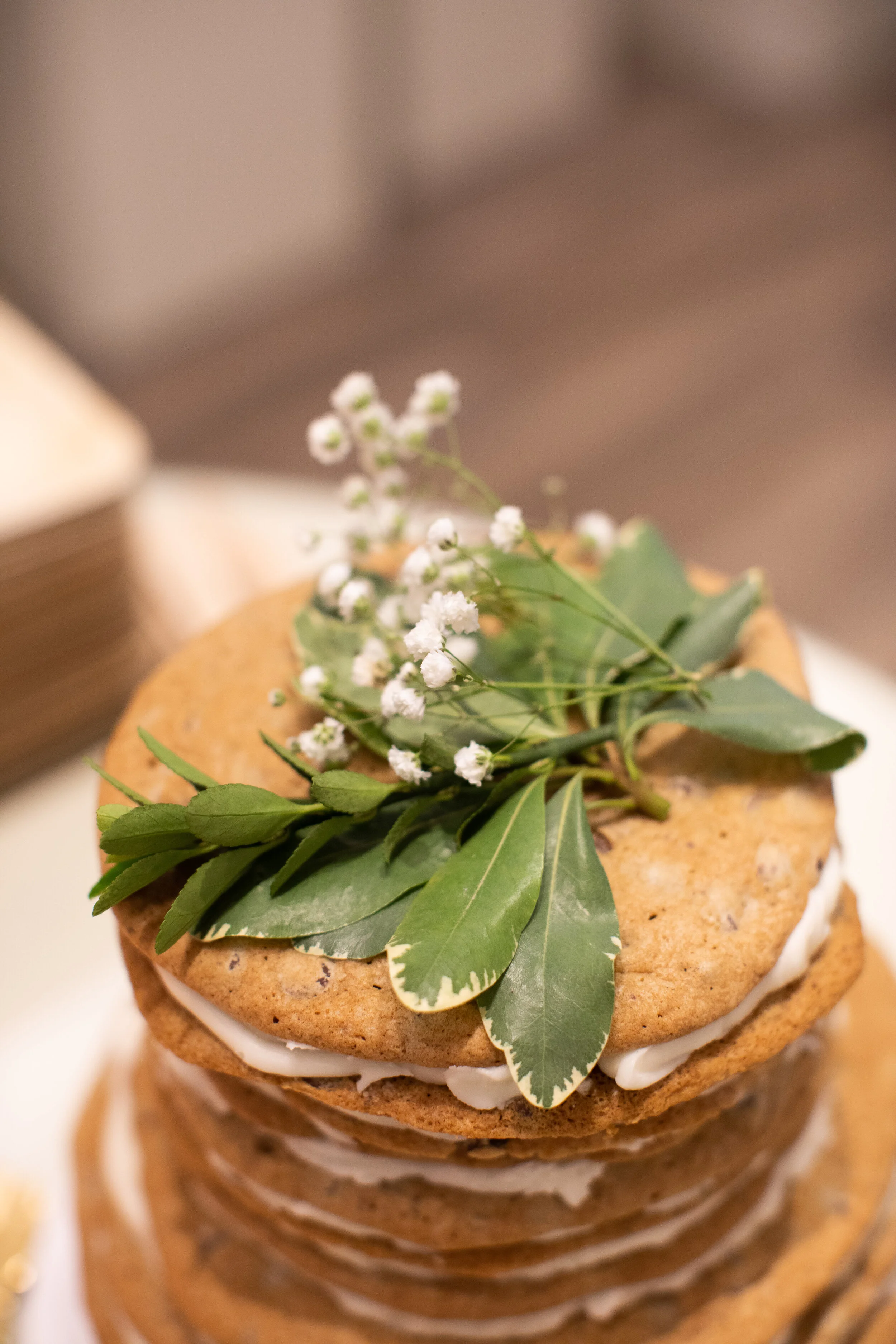 JessicaSalorphotography-Sample1-5.jpg