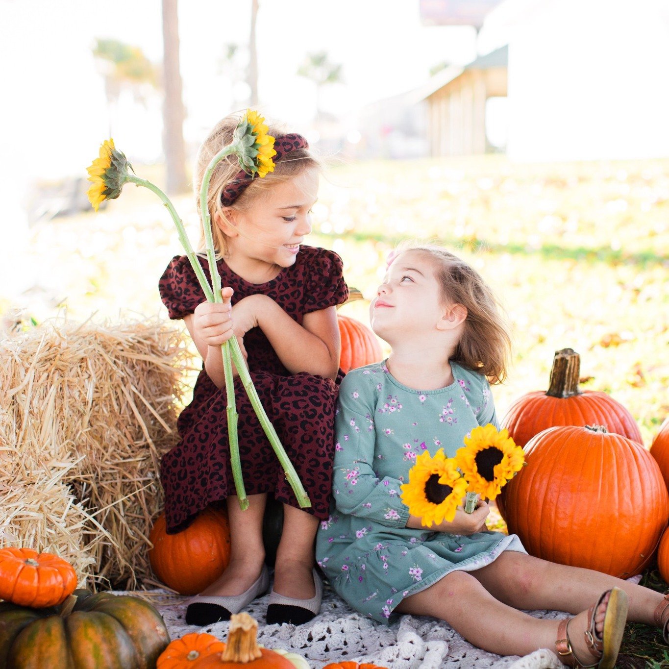 Some of the absolute cutest little pumpkins in the park! From our little impromptu get together from the other day. Aren't they the cutest??? 

Need a photographer??? Call me! ☎️Call Me! 850-313-1586 

  Check out my website! 
  www.jessicasalort.com