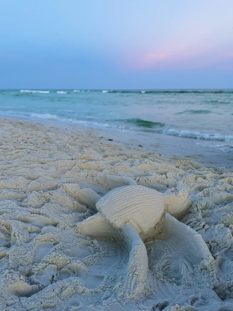  Navarre Beach Photographer Jessica Salort 