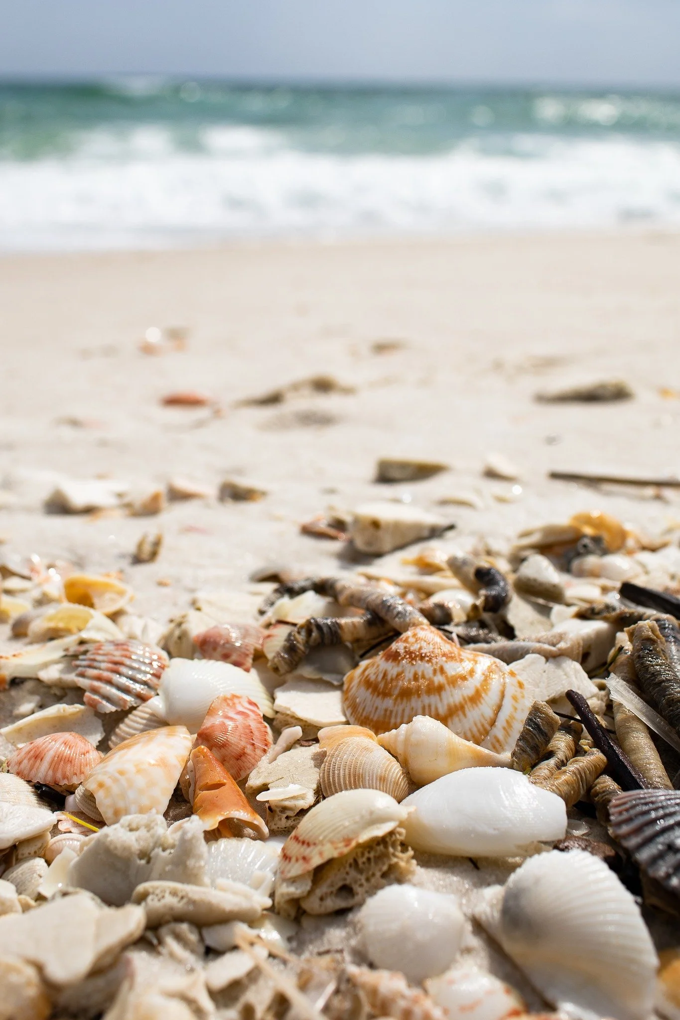 This time of year is so exciting. All day I get calls from past clients or recommendations from those clients. It's a who is calling today excitement! I love reconnecting with you all. Keep them calls coming! #navarrebeach #navarrephotographer #navar