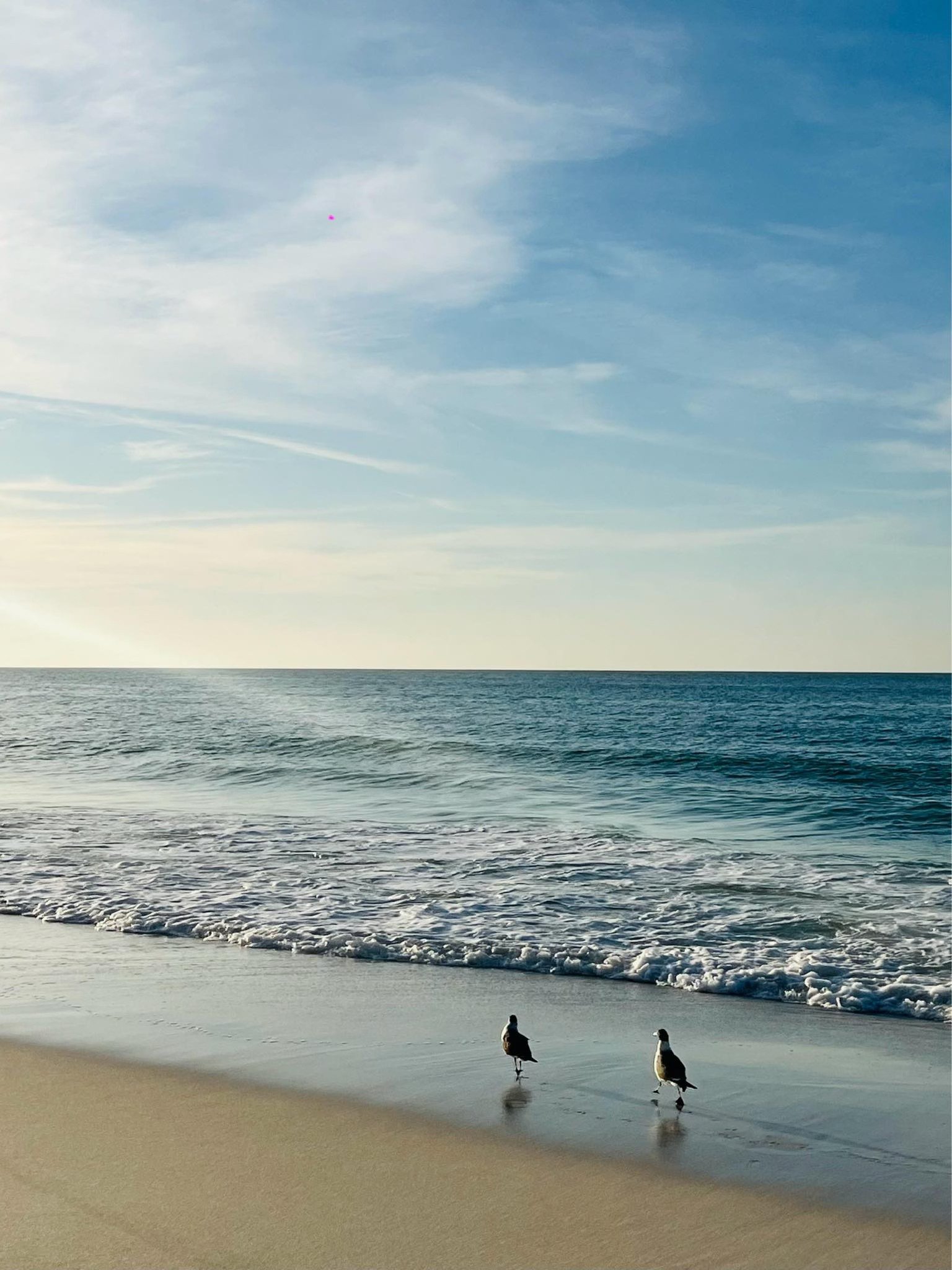 The beach I love. ❤❤❤

#navarrebeach