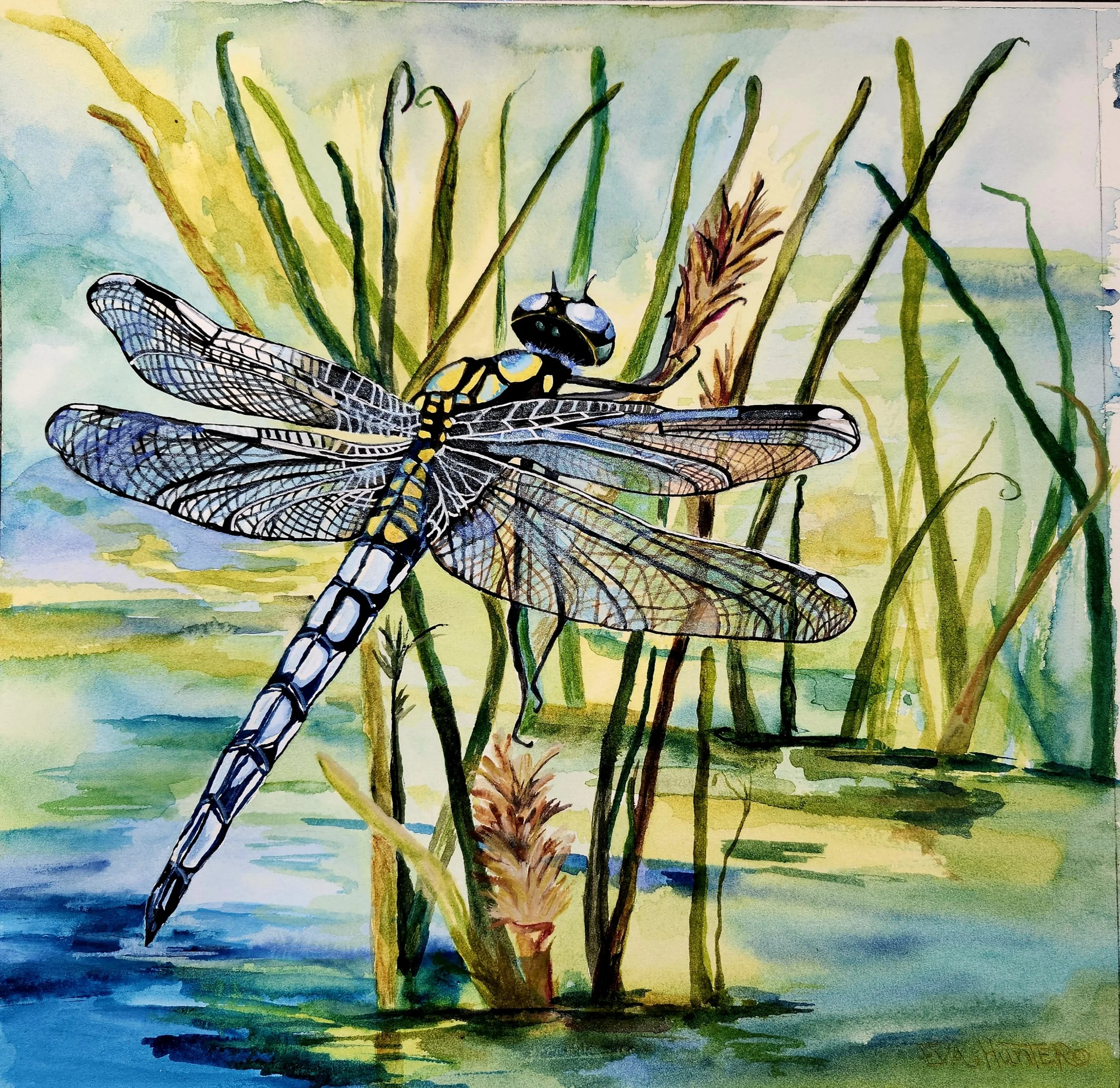 Watercolor Dragonfly