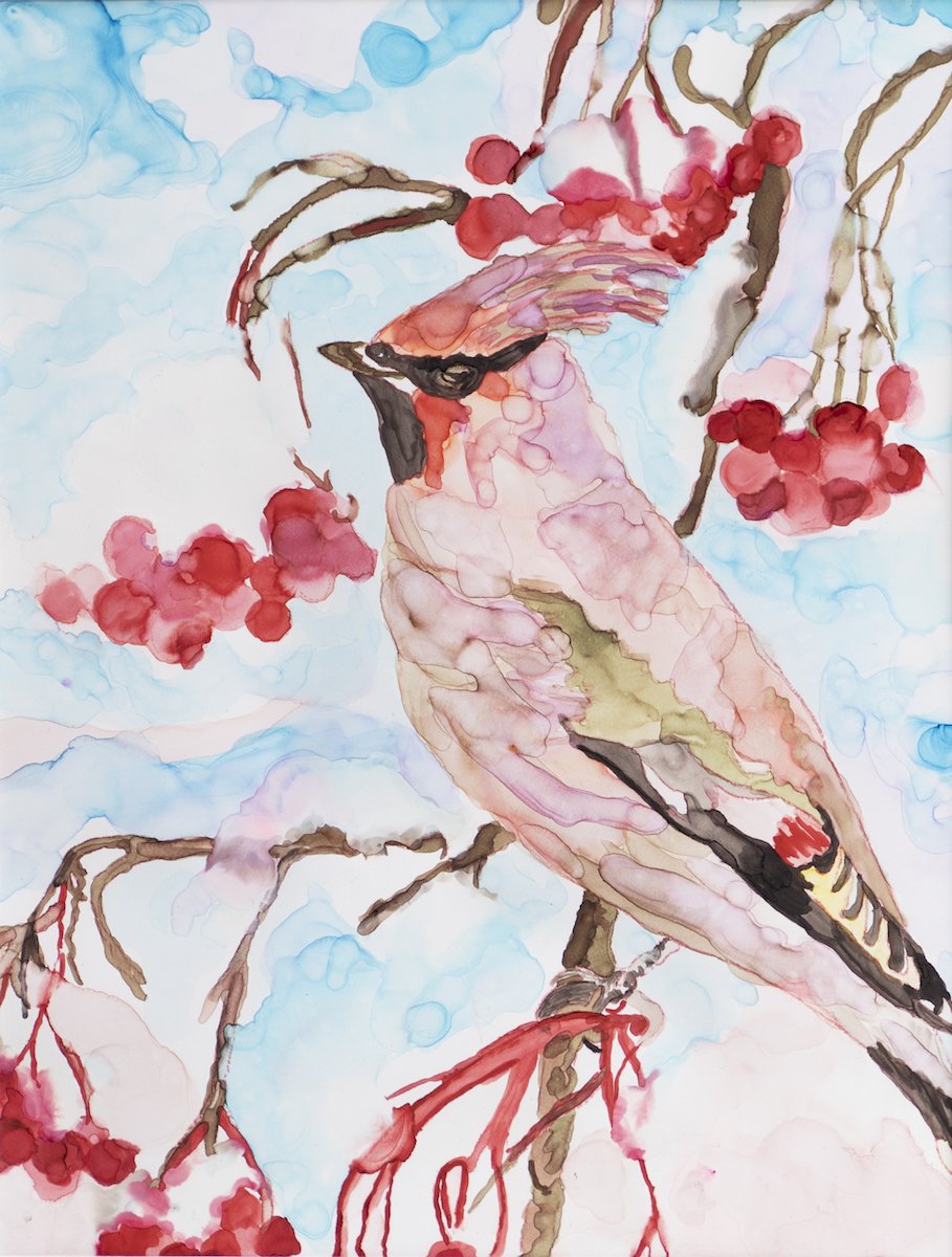 Cardinal Watercolor