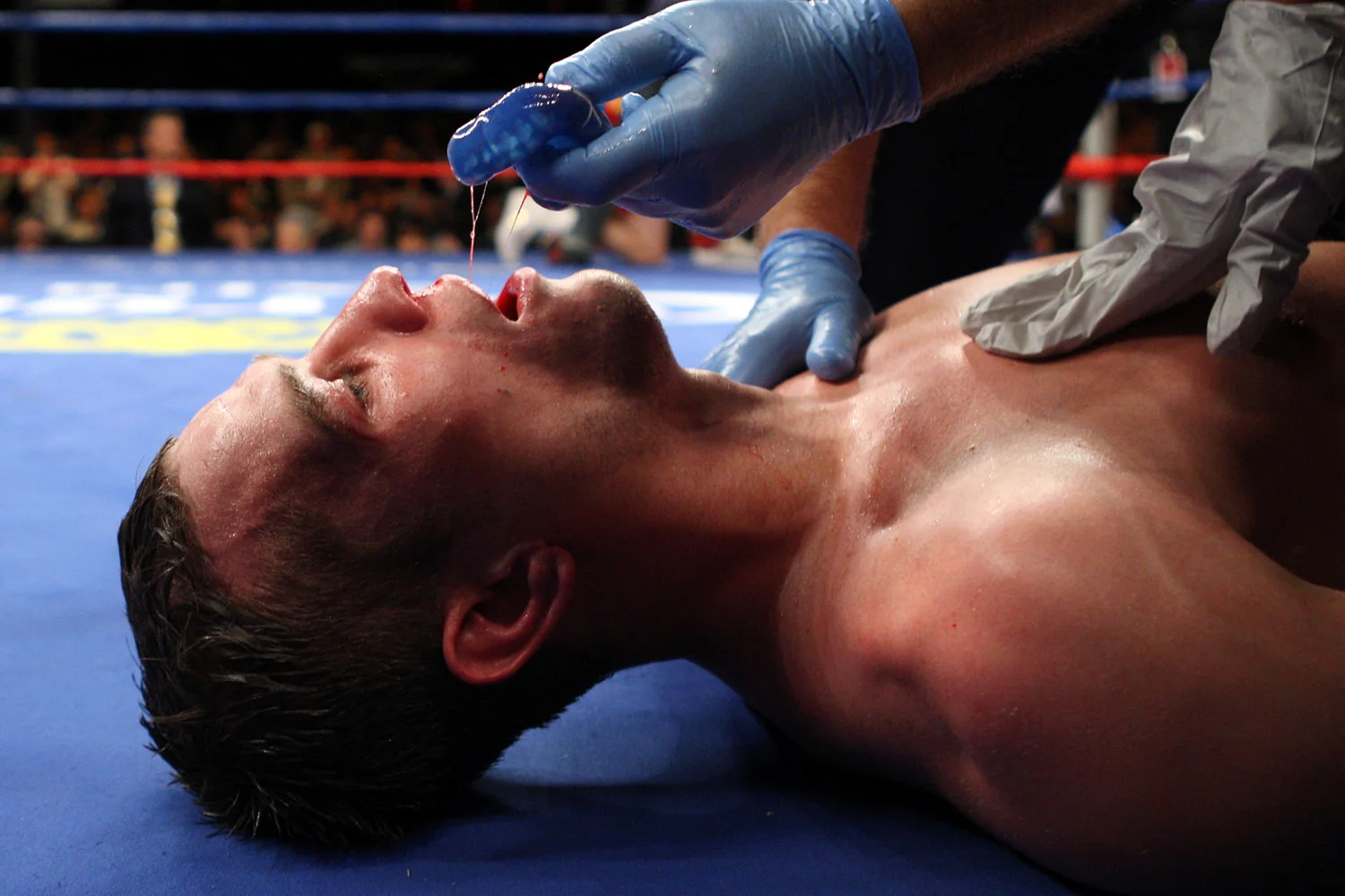 10th Rd KO of Craig McEwan