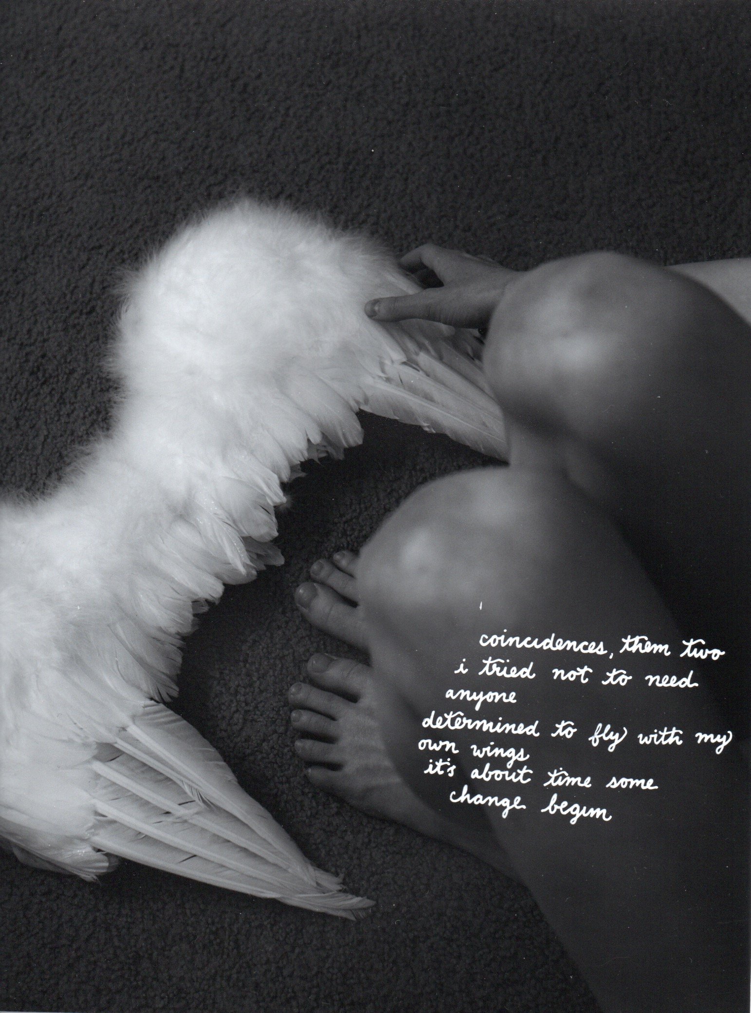 Wings - Take Flight.jpeg