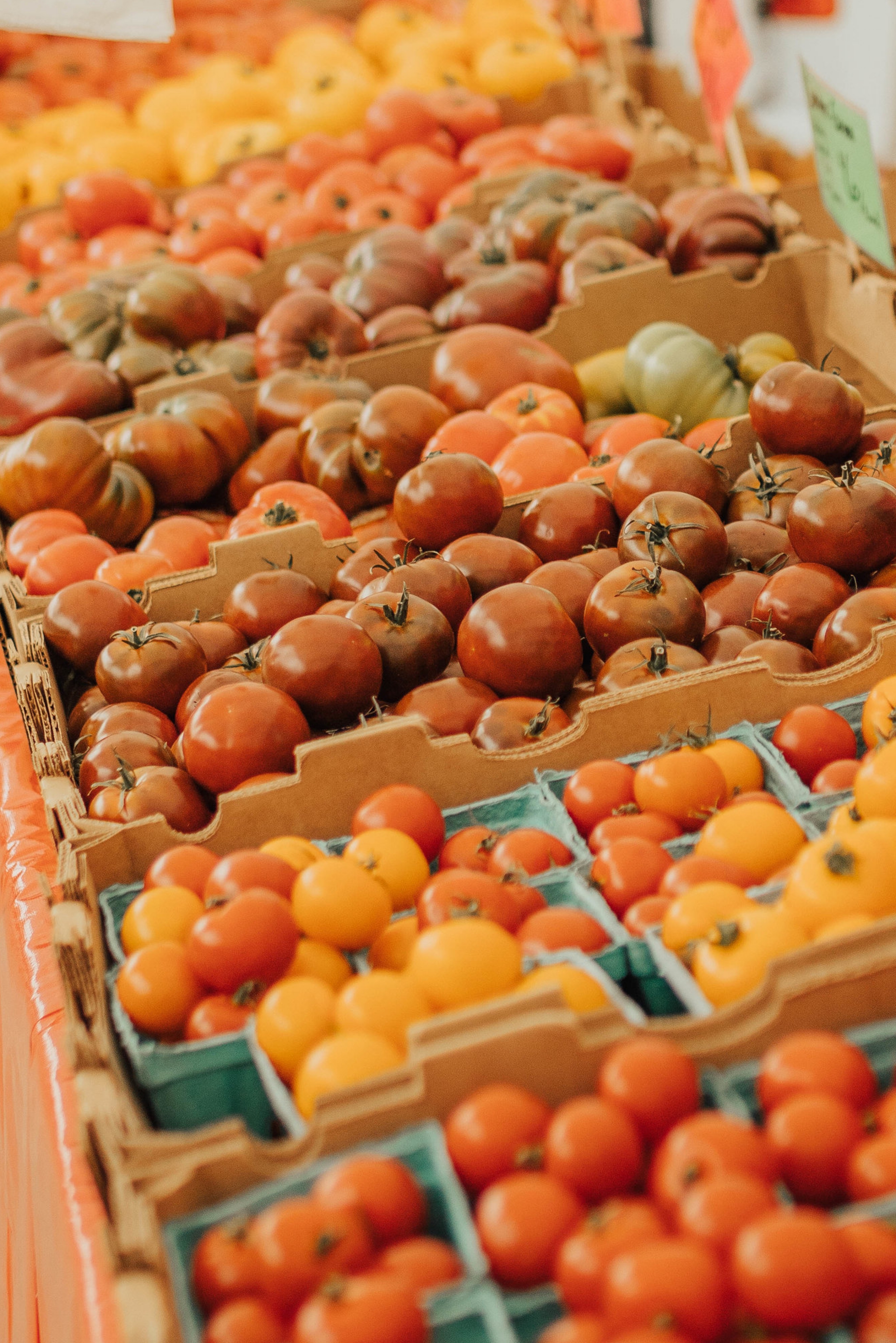 farmers market tomatos