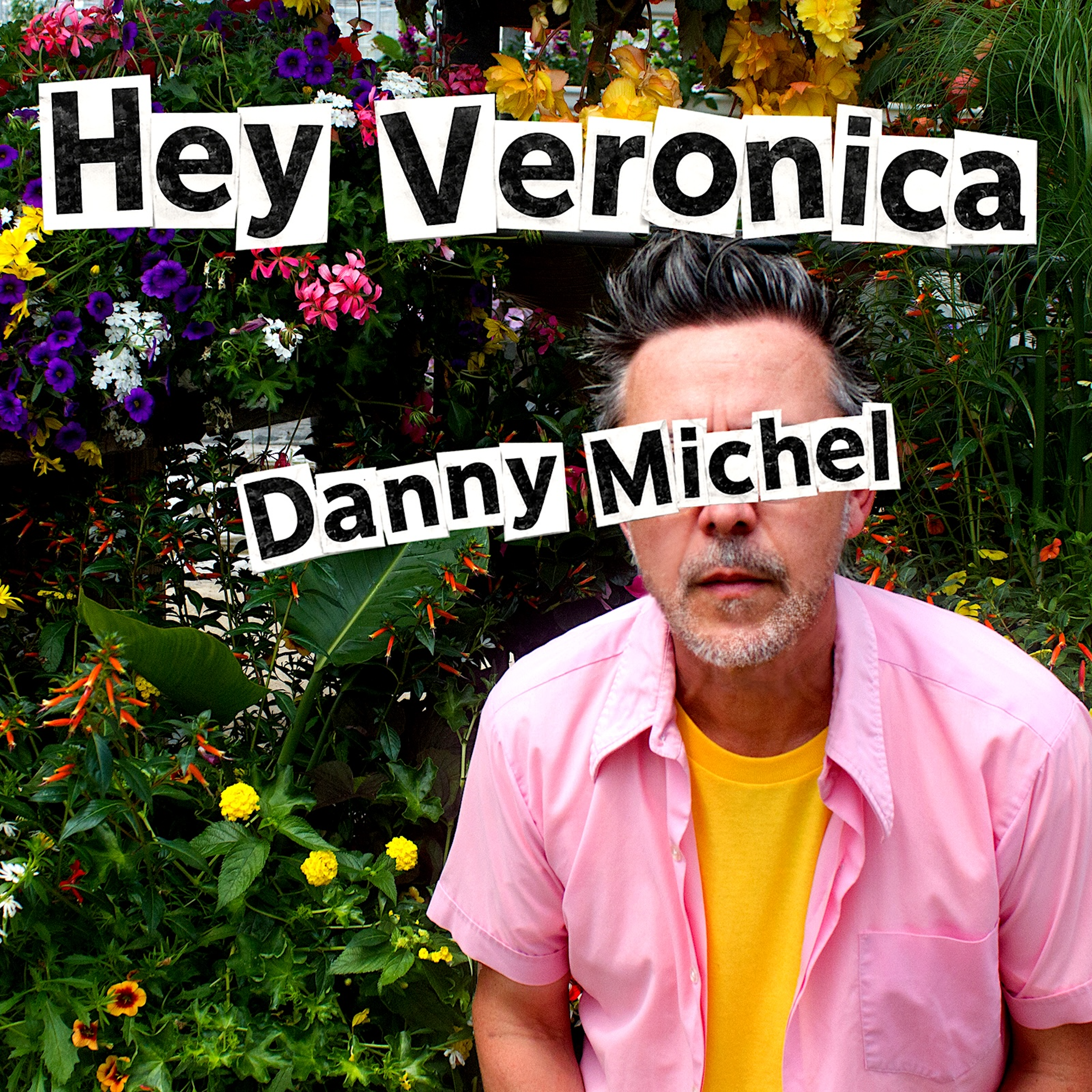 Hey Veronica Art.png