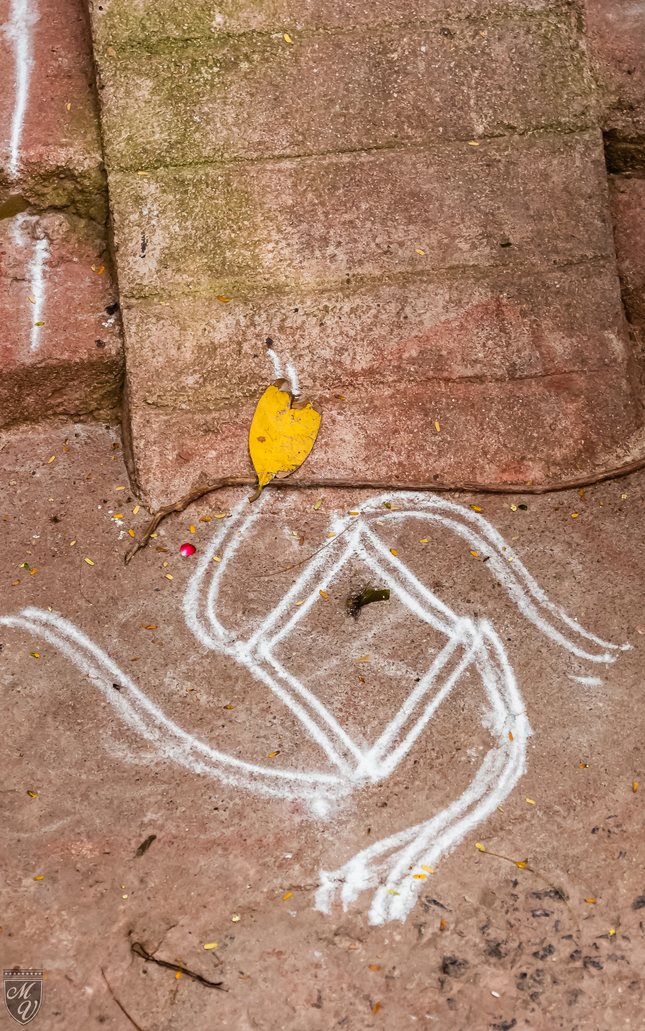 Chennai Adventures-4141.jpg