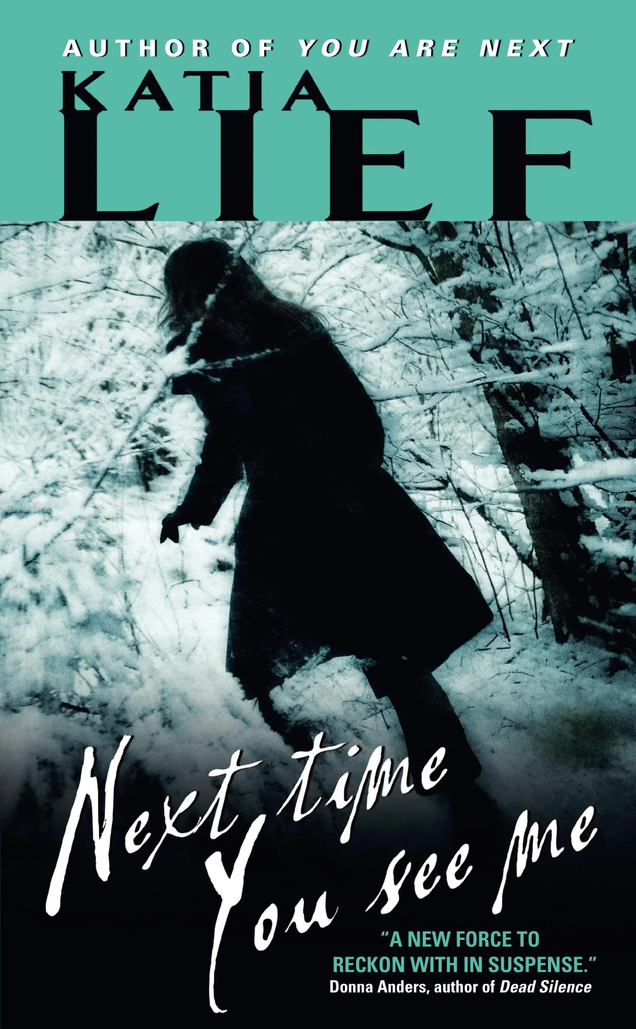 Book 2 in the Karin Schaeffer series