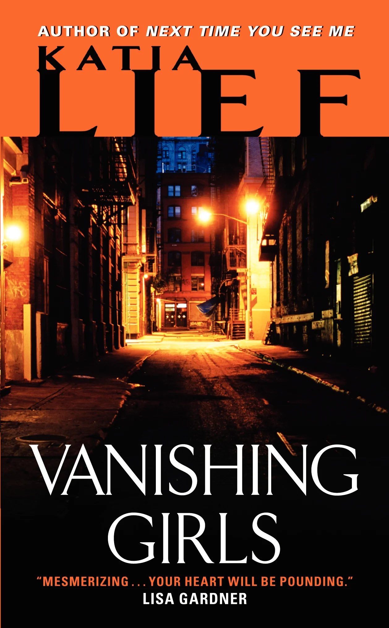 Book 3 in the Karin Schaeffer series