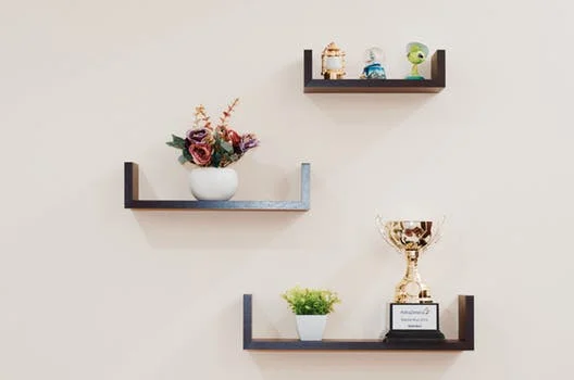 plant-prize-shelves-74942.jpg