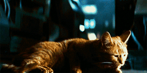 Jonesy.gif