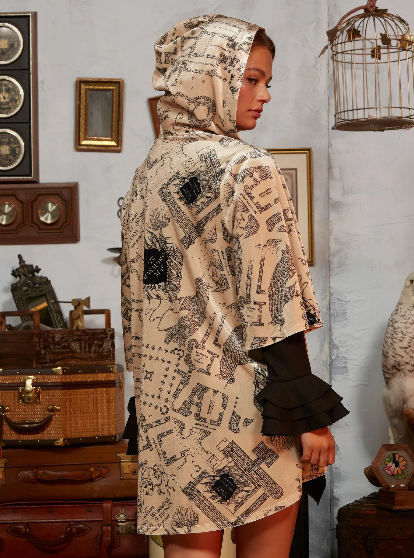 13591188_av2.jpg