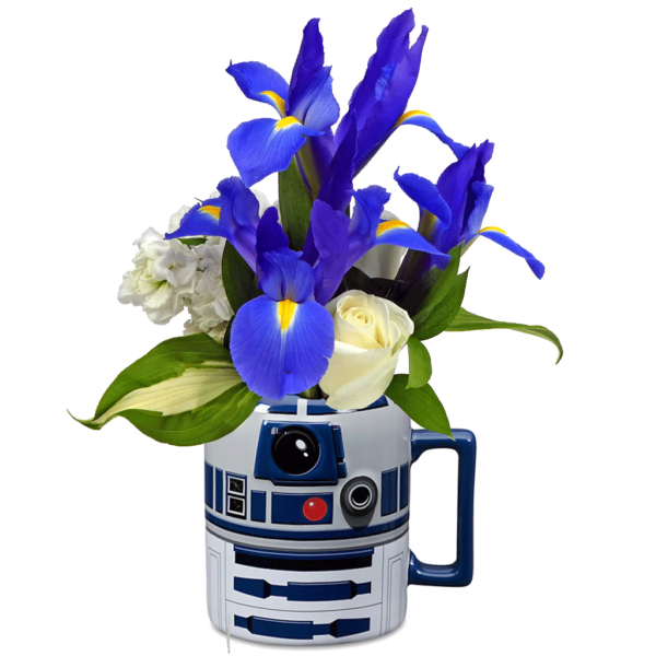 Star-Wars-R2D2-Flower-Mug-2023-600x600.png