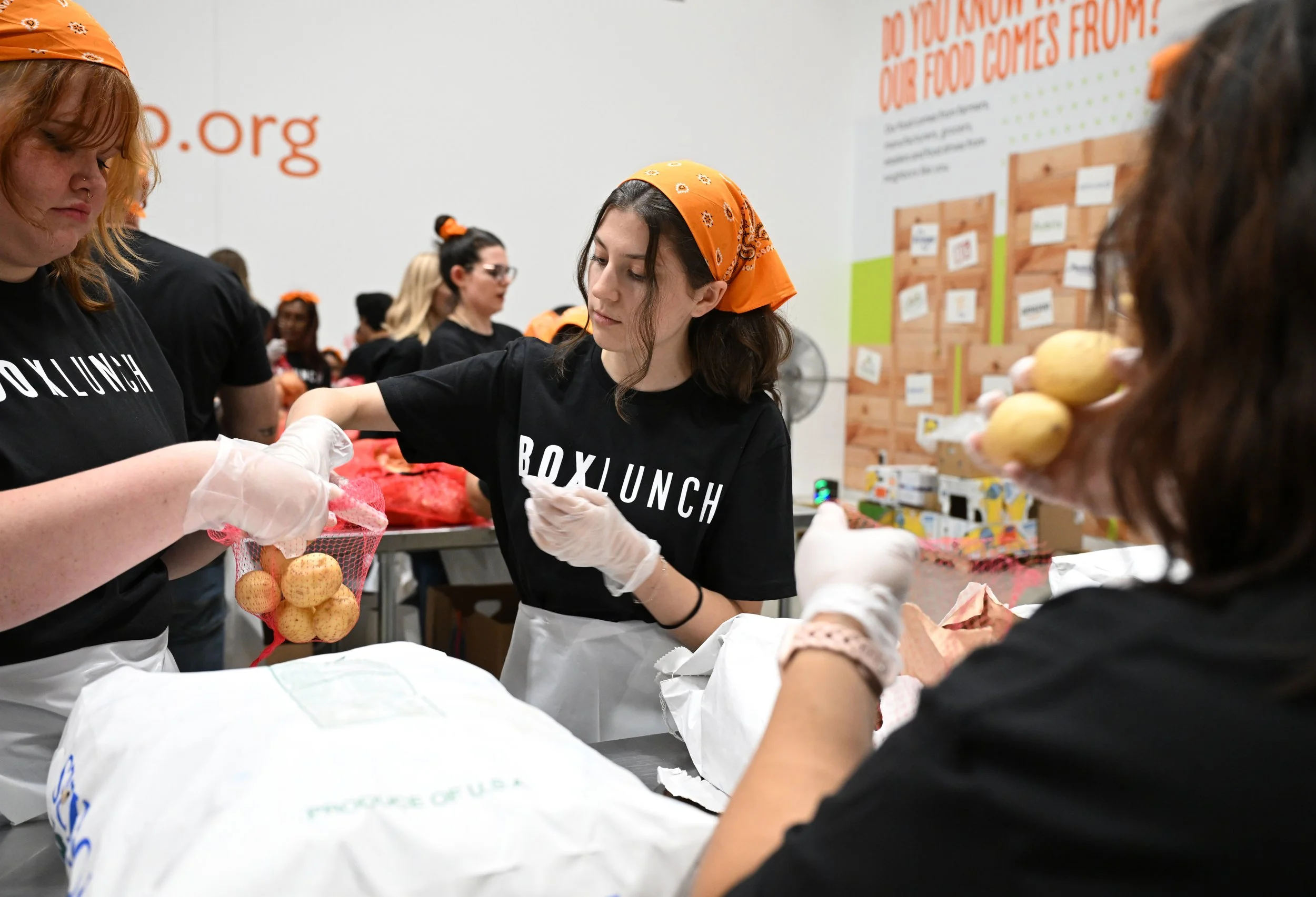 BoxLunch Volunteer Photo2.jpeg