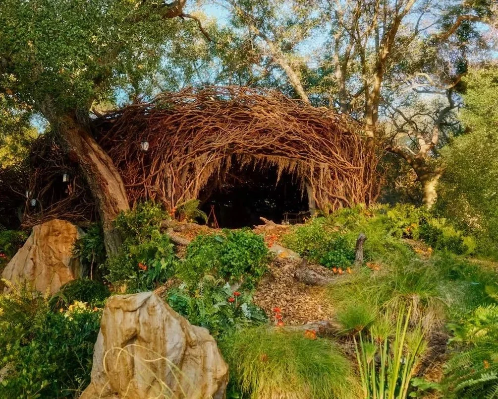 Spend The Night In Elphaba’s Forest Hideaway—Yes, For Free!