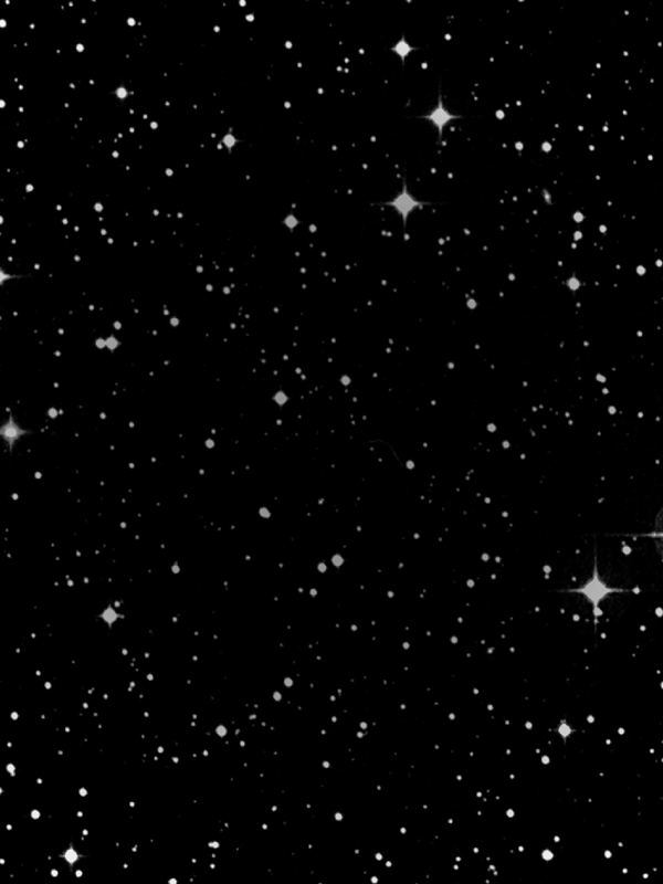 1x1_star-wars_PLP-block_edi_01_600x.gif