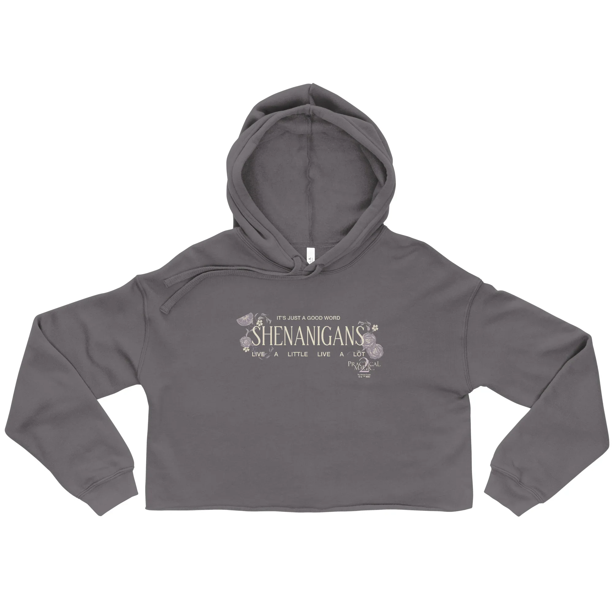 womens-cropped-hoodie-storm-front-6a70ac943d2c4.jpg.webp