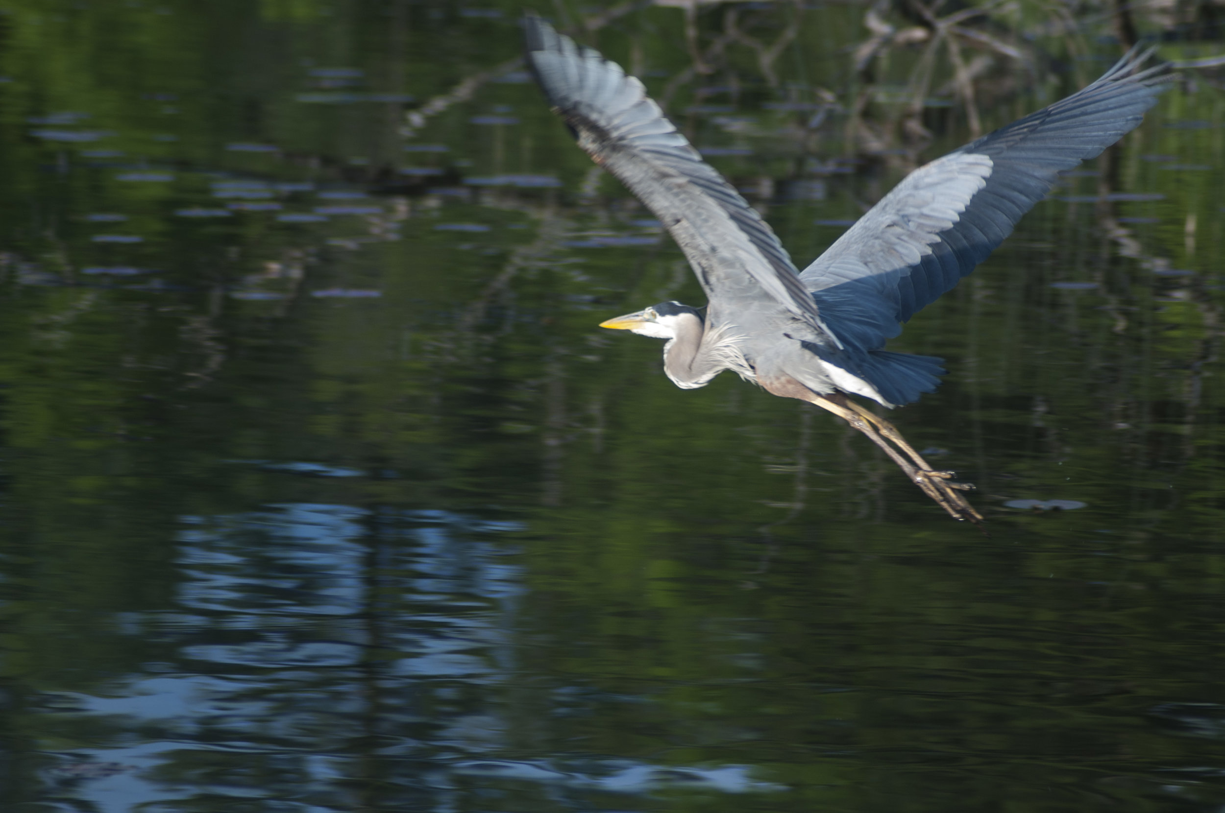 _DSC9884.jpg