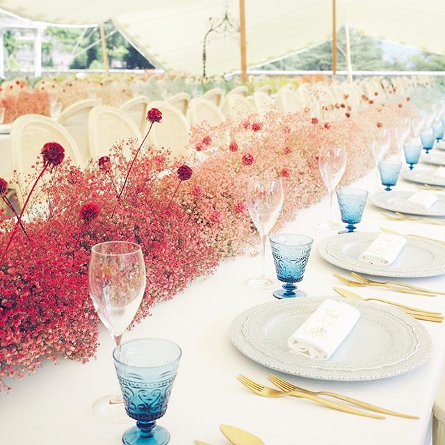 technicolor tables 🌈 🍽🌸