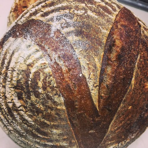 bread1.jpeg