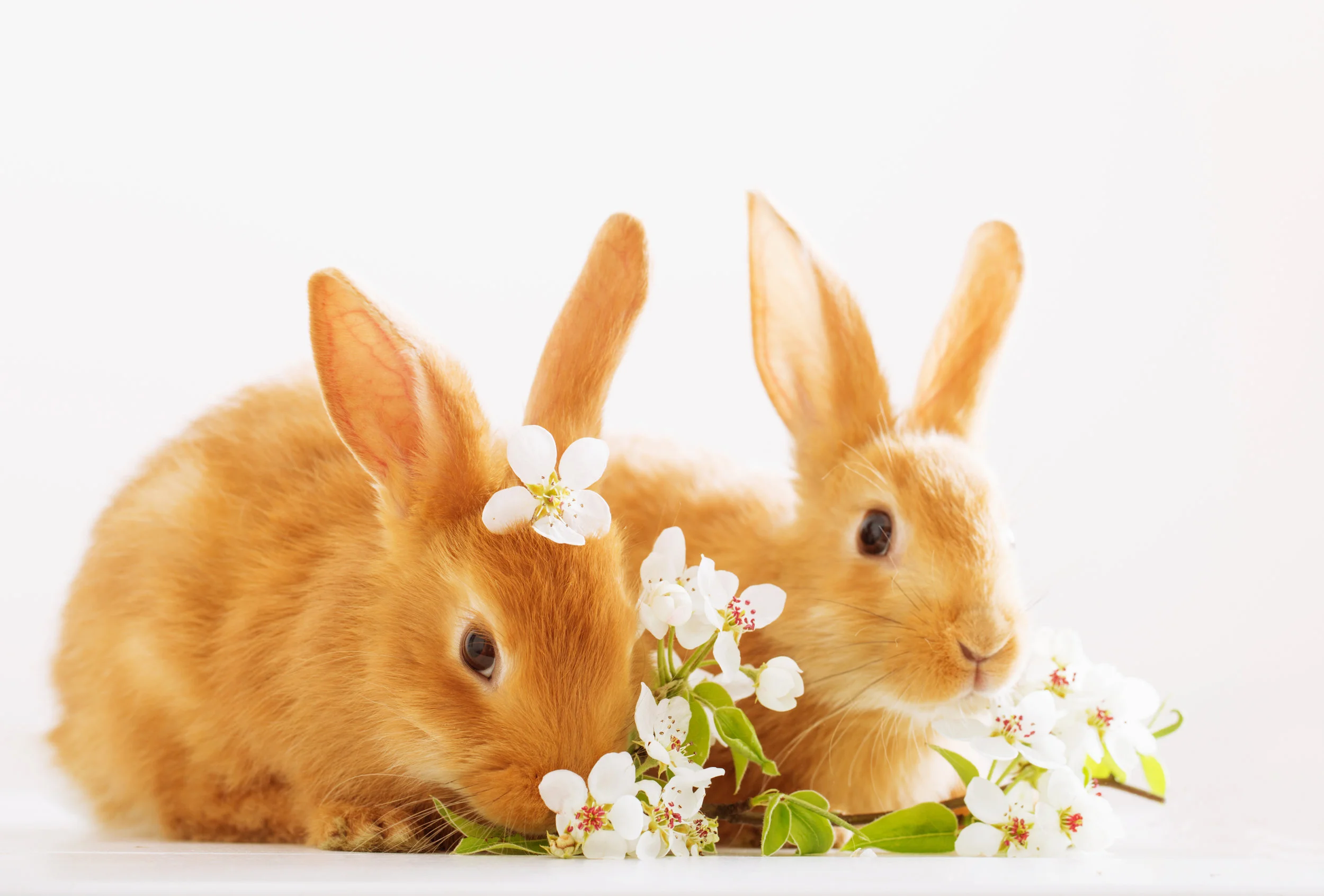 iStock-512283880.jpg