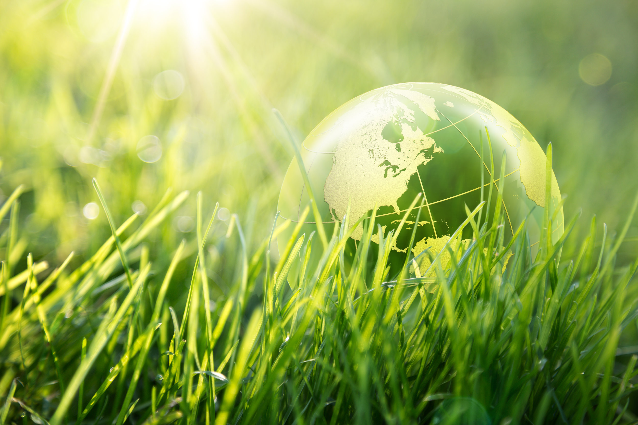 iStock-463312477.jpg