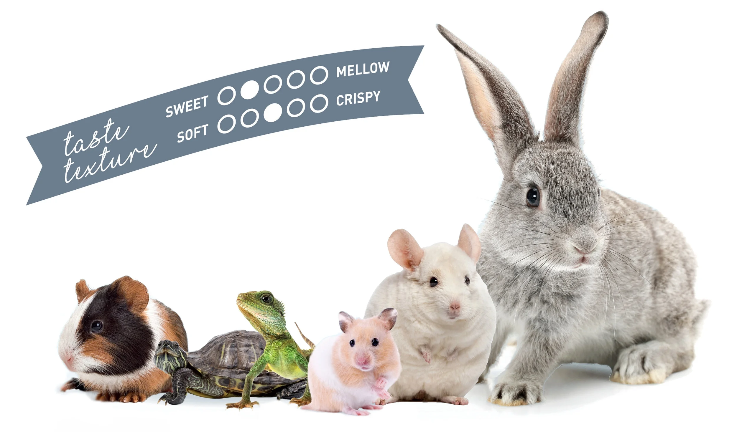 Genesis Timothy Hay Flavour Profile