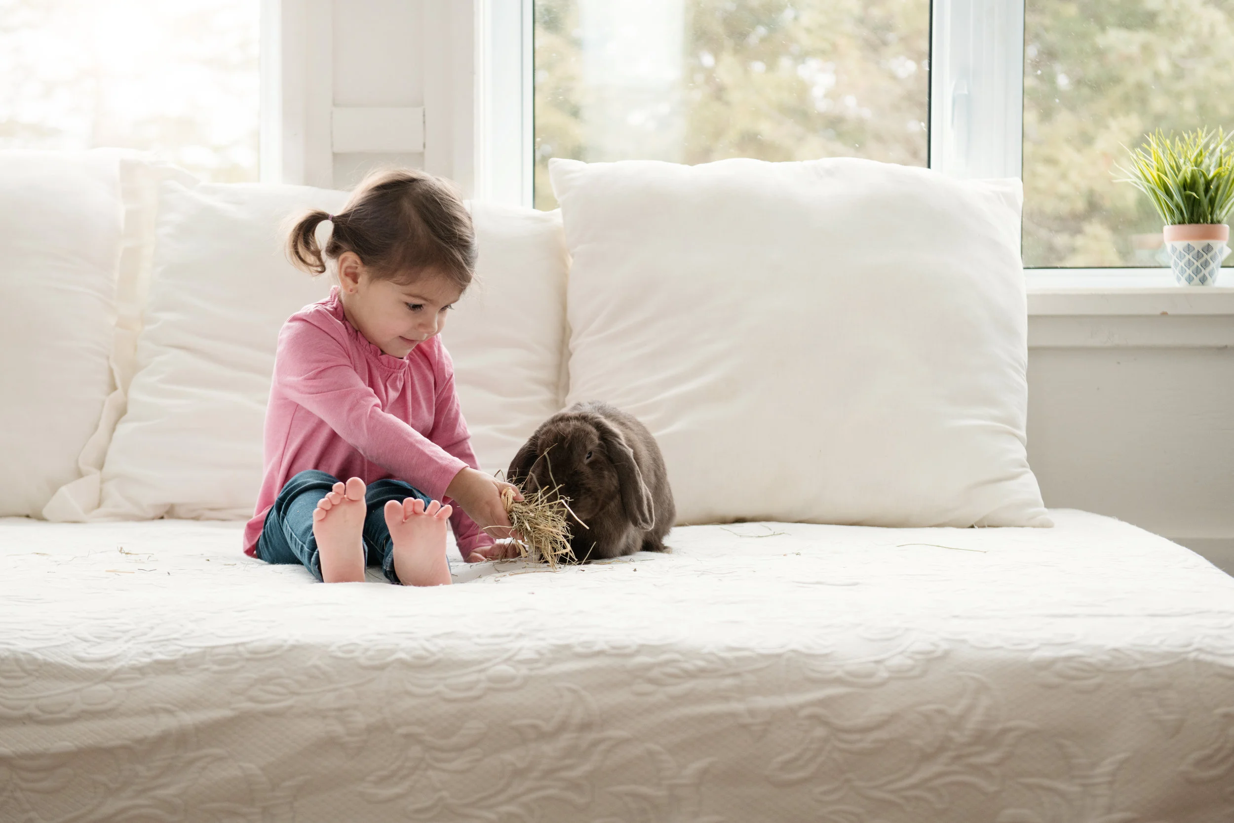 iStock-922146522.jpg