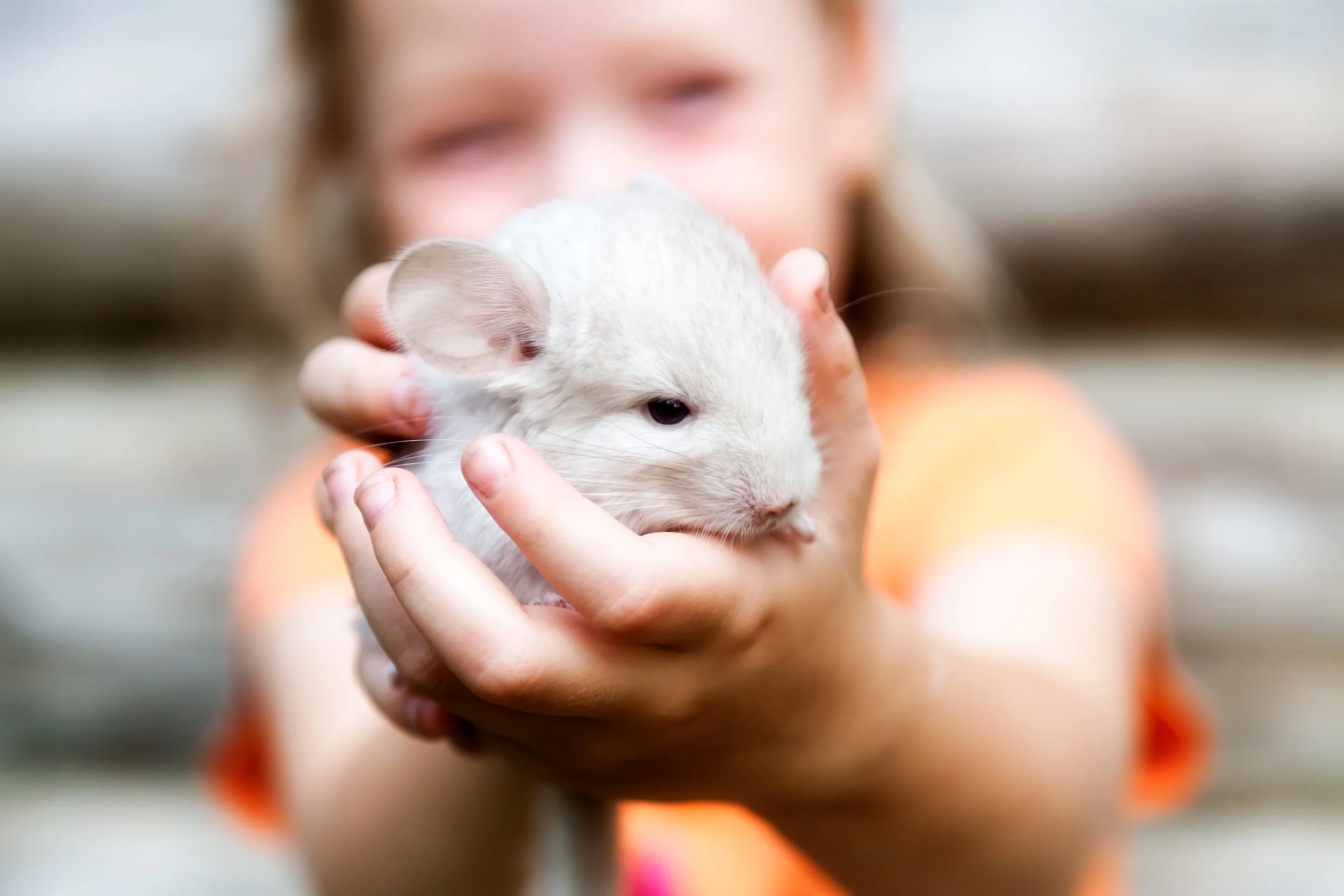 iStock-625844102.jpg