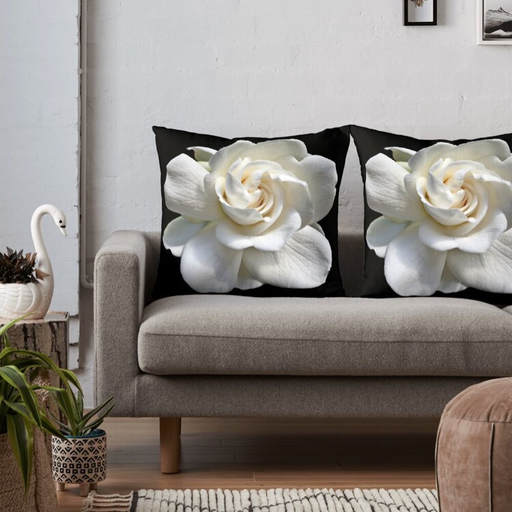 Gardenia Blossom Close-up Flower Blossom Design Collection. This collection features a photo of close-up of a beautiful white Gardenia Blossom on a variety of prints, home decor, technology cases, clothing, bags, masks, cups, journals, and more. Avai