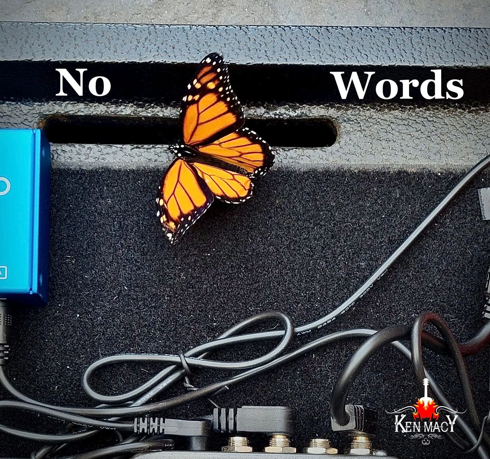 No Words Cover (Dropbox) .jpeg