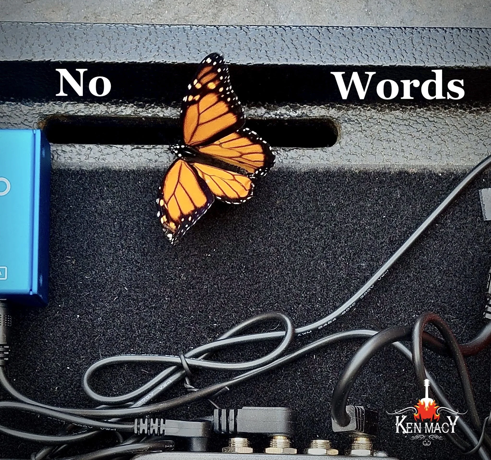 No Words Cover #2 cropped .jpeg