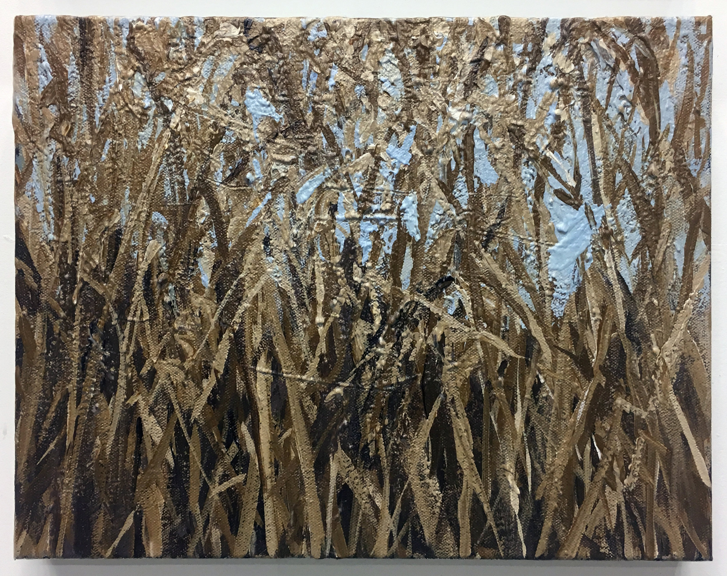  Reeds, acrylic on canvas, 11 x 14 inches, 2016 