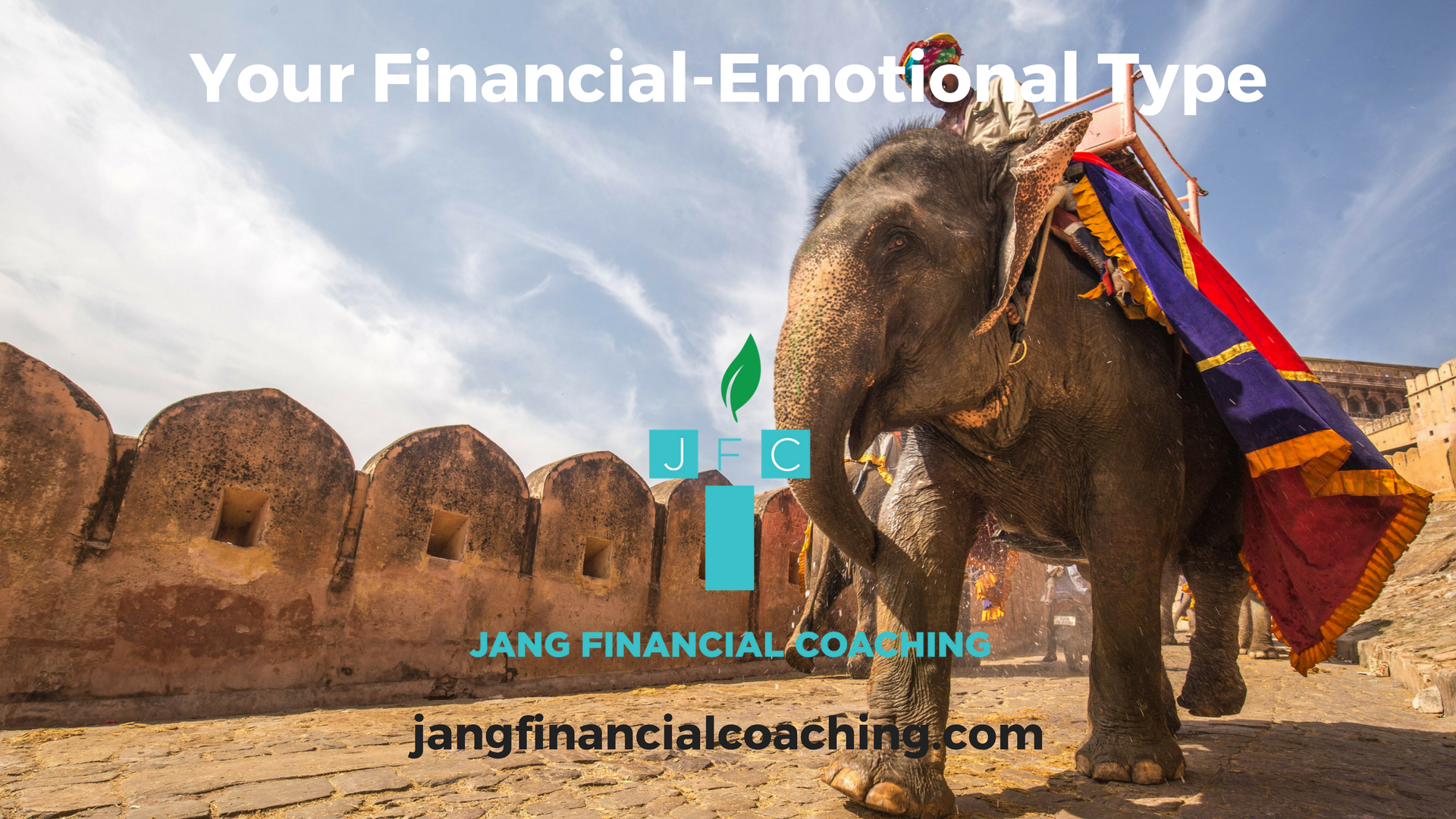 What Is Your Financial-Emotional Elephant Type? — Jang Financial Coaching