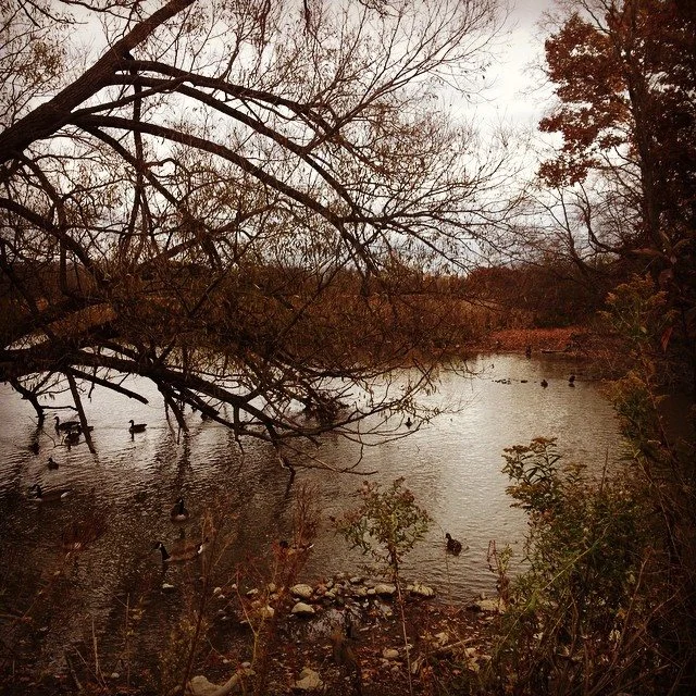photography3_orig.jpg