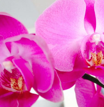 Screen Shot 2017-06-18 at 10.46.55 AM.png