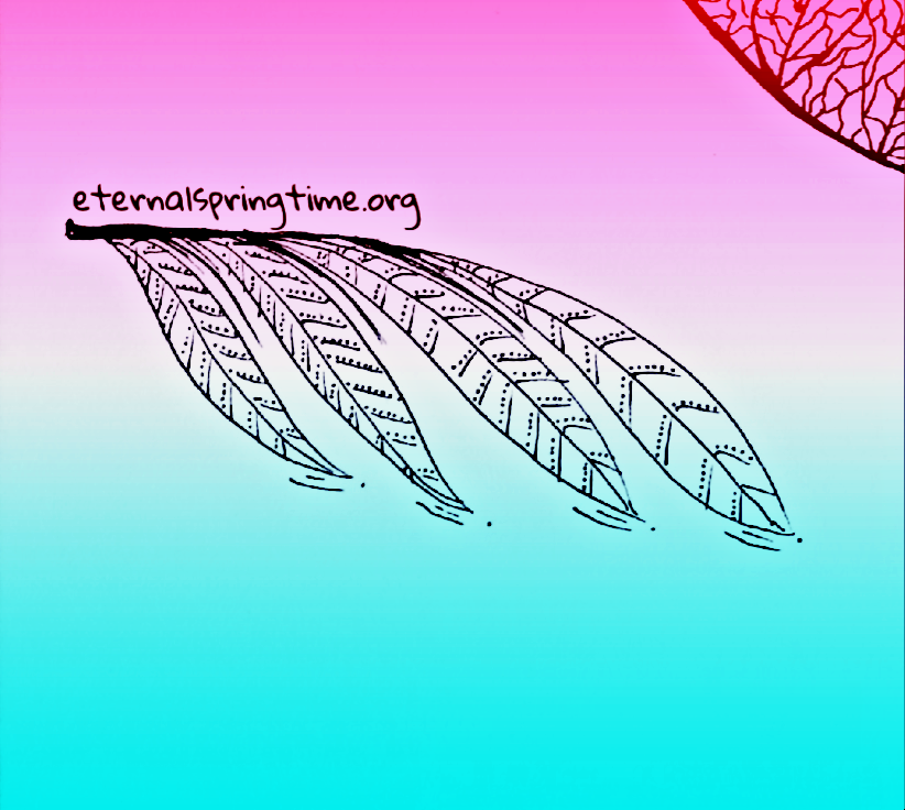 2016-05-5--16-49-20.png
