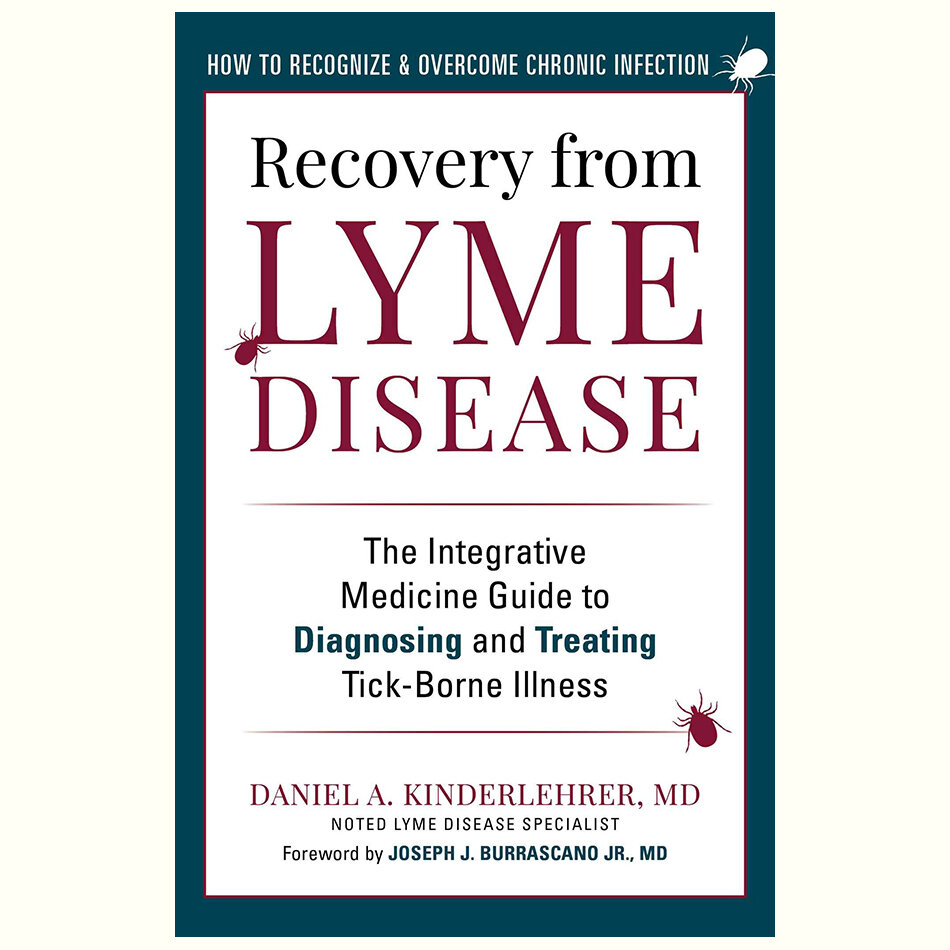 Recovery from Lyme Disease by Daniel Kinderlehrer.jpg