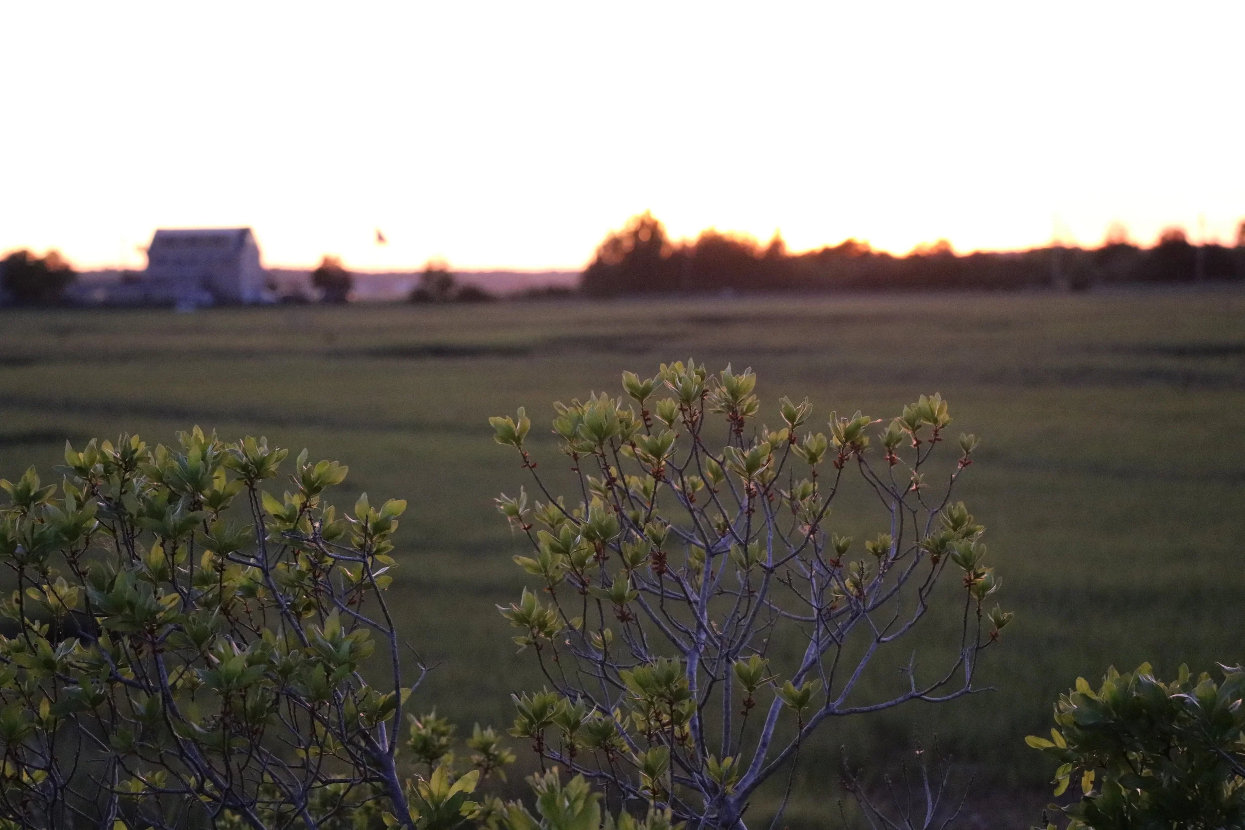 Reflections on Year 22