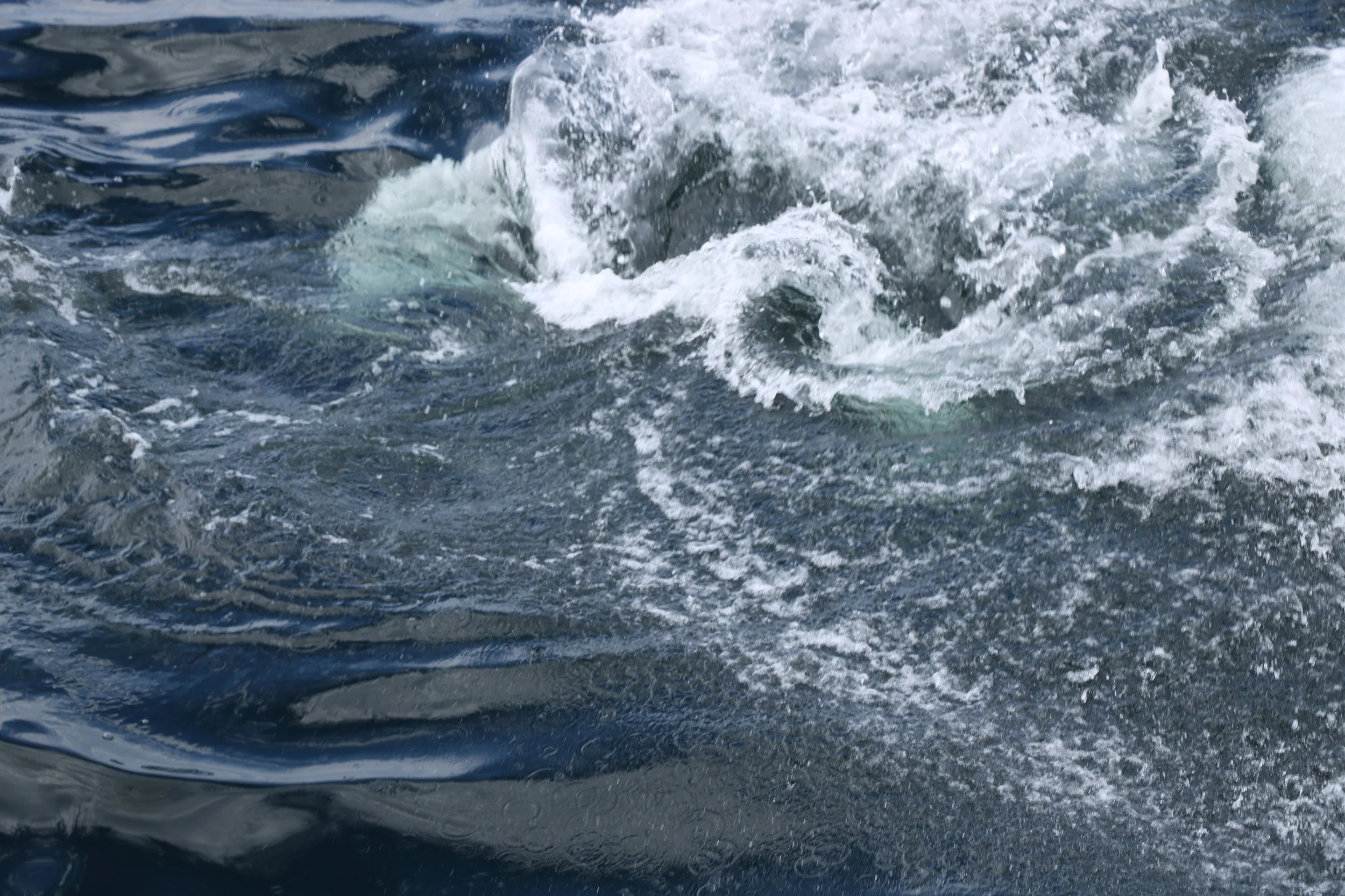 Not Interested in Being Independent