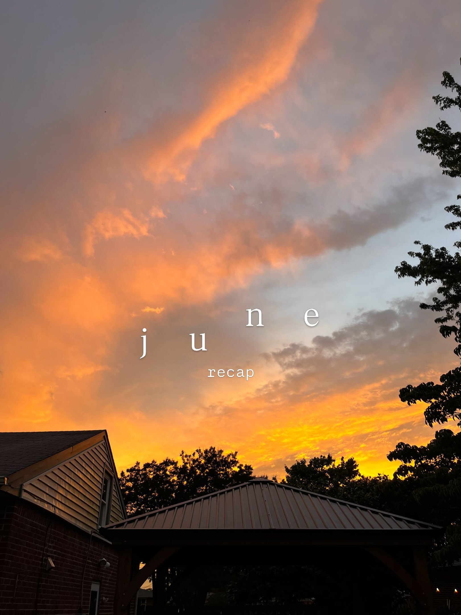 June | sunsets &amp; full blown summertime.☀️ a solo-parenting month that came with its challenges, but lots of sweetness and fun visits too! ➡️

Our first go at the Trader Joe&rsquo;s kids carts 😅🛒 This stage is a constant battle of either the eas